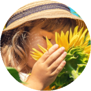 Kind schnuppert an Sonnenblume. Link öffnet Nachrichten zu Kursen für Kinder.